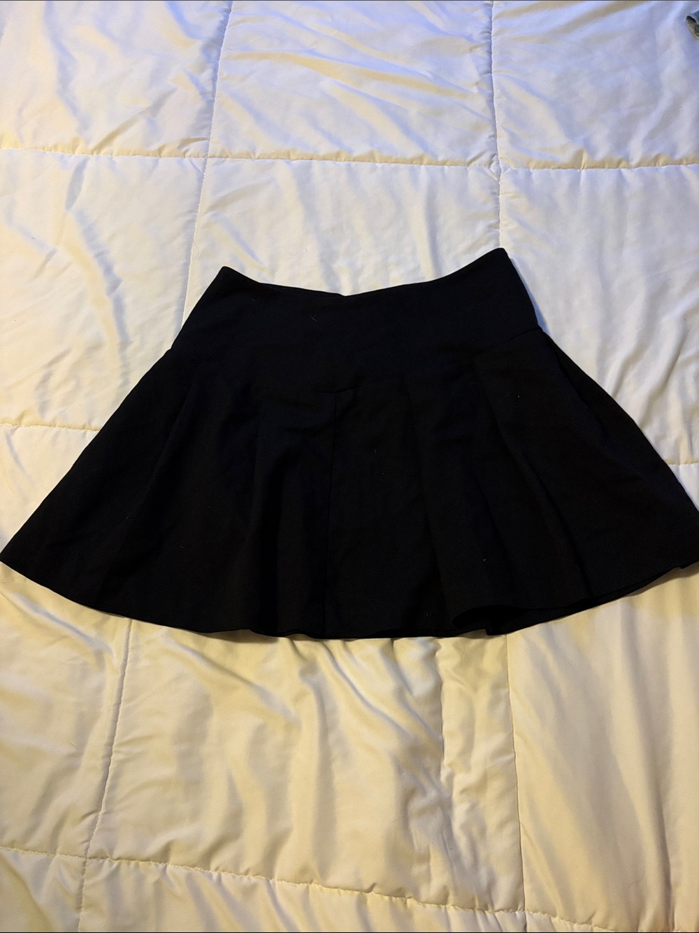 H&M Pleated Skirt